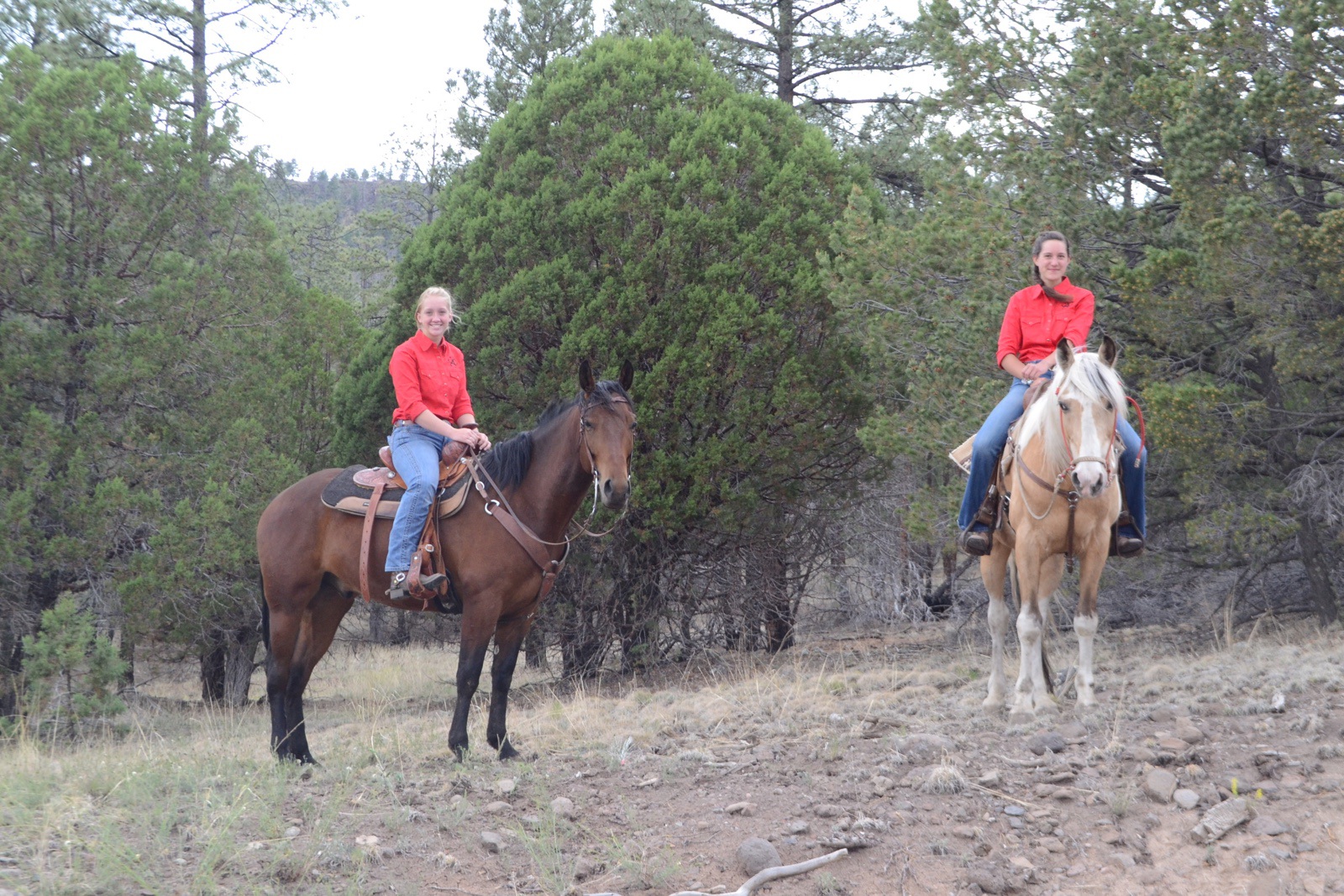 horsemanship-camp.jpg